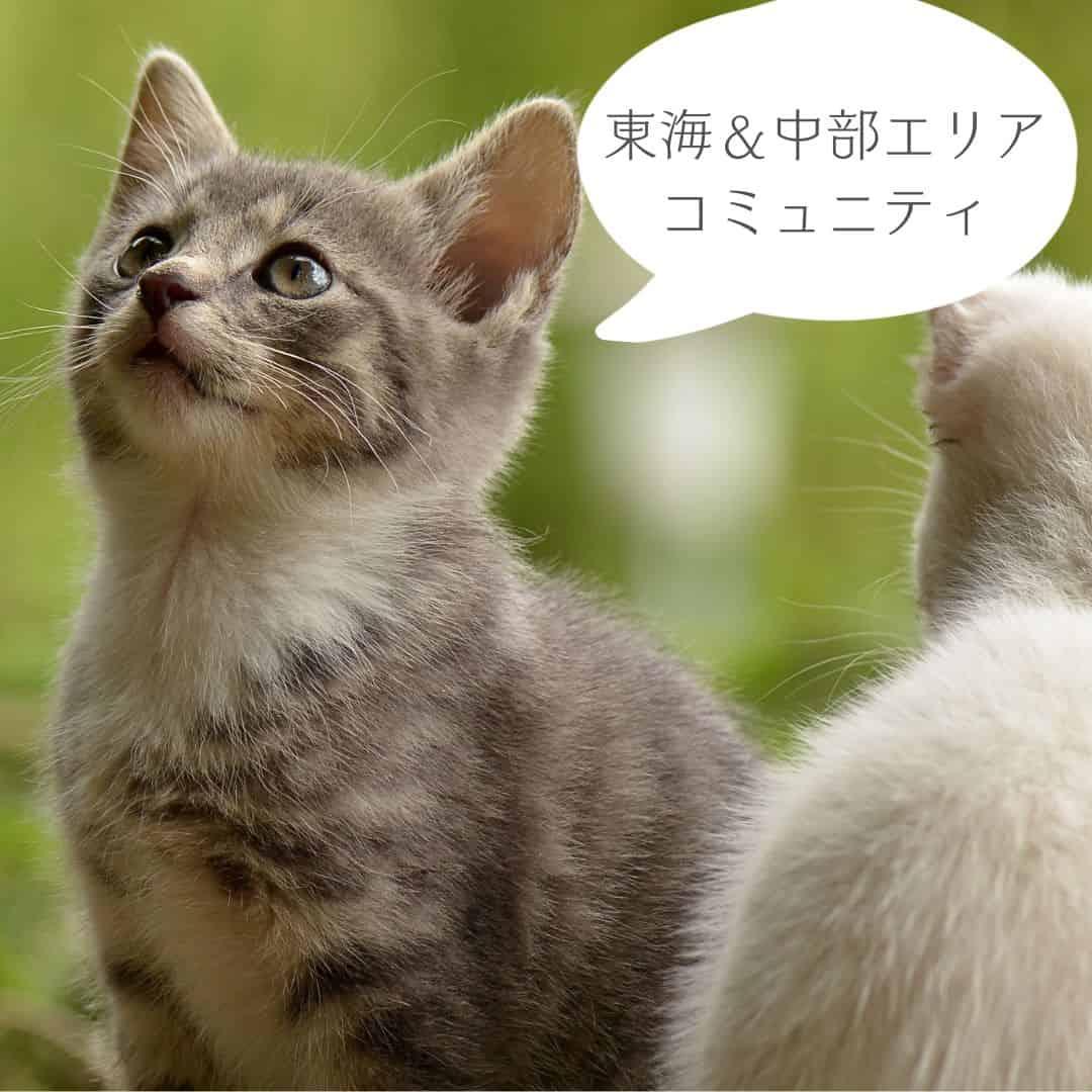 ロゴ画像